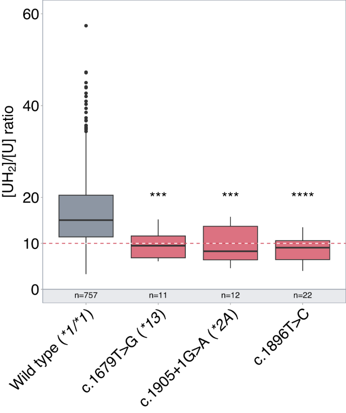 Integrating rare genetic variants into DPYD pharmacogenetic testing may help preventing fluoropyrimidine-induced toxicity