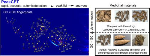 Analysis of GC × GC fingerprints from medicinal materials using a novel contour detection algorithm: A case of Curcuma wenyujin