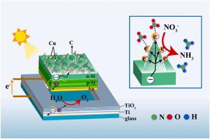 Efficiently unbiased solar-to-ammonia conversion by photoelectrochemical Cu/C/Si-TiO2 tandems