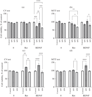 Directed Neuronal Differentiation of SH-SY5Y Human Neuroblastoma Cells on 2D Matrices Containing Recombinant Spidroins Modified with Cell Adhesion Peptides