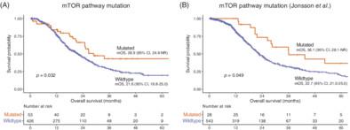 Diagnostic utility of genetic alterations in distinguishing IDH-wildtype glioblastoma from lower-grade gliomas: Insight from next-generation sequencing analysis of 479 cases