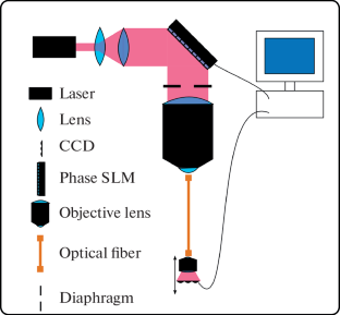 Ghost Imaging in a Fiber-Optic Endoscope Based on Light Scattering