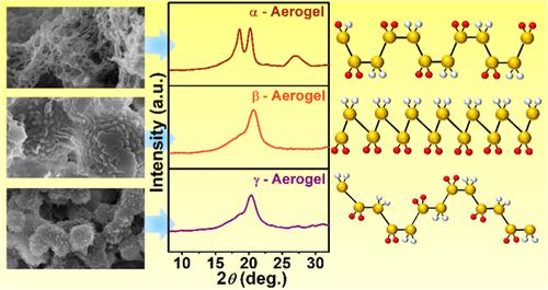 Poly(vinylidene fluoride) Aerogels with α, β, and γ Crystalline Forms: Correlating Physicochemical Properties with Polymorphic Structures