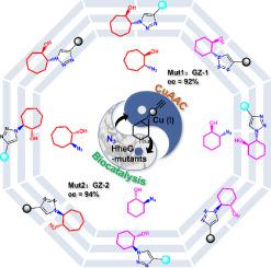 Directed evolution of stereoselective enzymes meets click reactions: asymmetric synthesis of chiral triazoles using a Cu(I)-compatible halohydrin dehalogenase