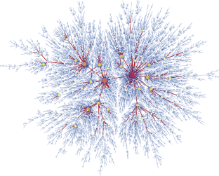 Eve, Adam and the preferential attachment tree