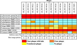 Characterization of selected phages for biocontrol of food-spoilage pseudomonads.