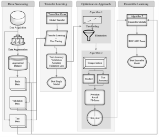 Enhancing Disease Classification with Deep Learning: a Two-Stage Optimization Approach for Monkeypox and Similar Skin Lesion Diseases