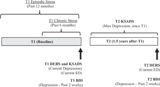 Characterizing Life Stress Exposure Among Sexual Minority Adolescents: Temporality, Content, And Mediating Role in Mental Health Disparities.