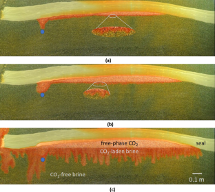 Scaling Up FluidFlower Results for Carbon Dioxide Storage in Geological Media