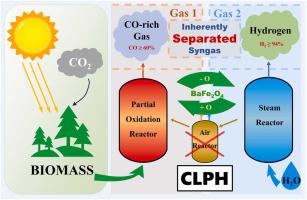 A novel biomass gasification process for the generation of inherently separated syngas using the concept of chemical looping technology