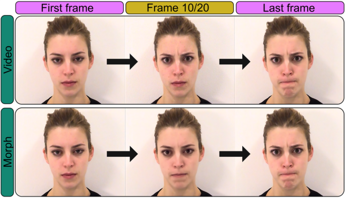 A Dynamic Disadvantage? Social Perceptions of Dynamic Morphed Emotions Differ from Videos and Photos