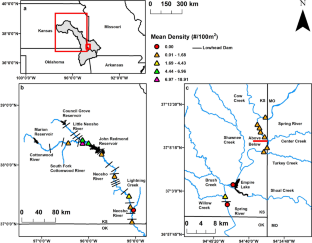 Comparison of threatened Neosho madtom (Noturus placidus) densities between riverscapes differing in anthropogenic stressors, with a particular focus on recovery from mining-derived metal pollution