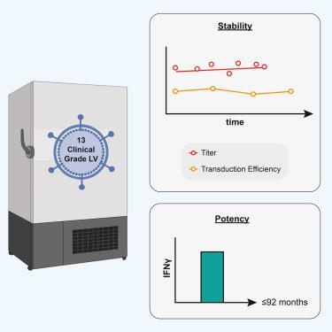 Long Term Stability of Clinical Grade Lentiviral Vectors for Cell Therapy