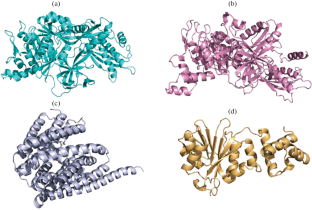 Identification of Antimicrobial Resistance Genes and Drug Targets in Antibiotic-Resistant Clostridioides difficile Clinical Isolates