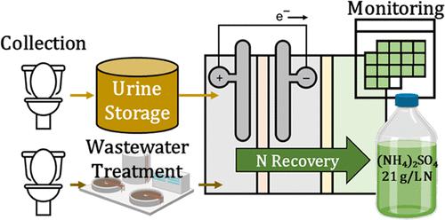 Long-Term Robustness and Failure Mechanisms of Electrochemical Stripping for Wastewater Ammonia Recovery