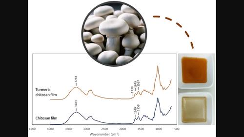 White-button mushroom storage in trays with layerings of chitosan and turmeric