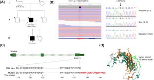 CRYAB stop-loss variant causes rare syndromic dilated cardiomyopathy with congenital cataract: expanding the phenotypic and mutational spectrum of alpha-B crystallinopathy