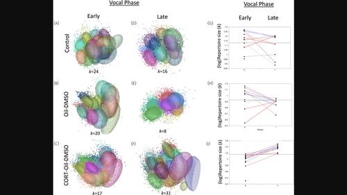 Early corticosterone increases vocal complexity in a wild parrot: An organizational role of the hypothalamic-pituitary-adrenal axis in vocal learning?