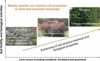 Soil properties are affected by vegetation types in a semi-arid mountain landscape