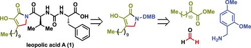 Total Synthesis and Microbiological Evaluation of Leopolic Acid A and Analogues