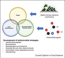 Novel chemical-based approaches for biofilm cleaning and disinfection