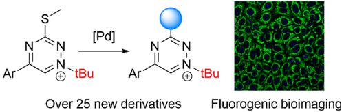 Synthesis of C<sub>3</sub>-Substituted <i>N</i>1-<i>tert</i>-Butyl 1,2,4-Triazinium Salts via the Liebeskind-Srogl Reaction for Fluorogenic Labeling of Live Cells.