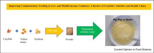 Improving complementary feeding in low- and middle-income countries: a review of crayfish’s nutritive and health values