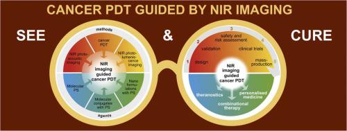 Molecular and nanoparticulate agents for photodynamic therapy guided by near infrared imaging