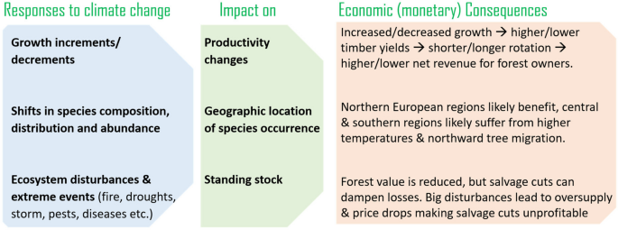 Aiming at a moving target: economic evaluation of adaptation strategies under the uncertainty of climate change and CO2 fertilization of European beech (Fagus sylvatica L.) and Silver fir (Abies alba Mill.)