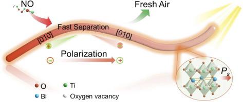 Synergistic Polarization and Oxygen Vacancies Engineering for Enhancing Photocatalytic NO Removal over Bi4Ti3O12 Nanowires