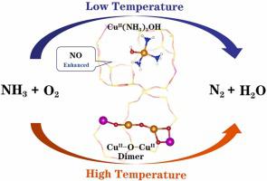 Mechanisms and Site Requirements for NO and NH3 oxidation on Cu/SSZ-13