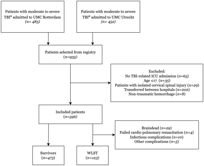 Clinical outcomes and end-of-life treatment in 596 patients with isolated traumatic brain injury: a retrospective comparison of two Dutch level-I trauma centers.