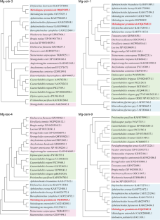 Effect of RNA interference targeting chemosensory genes on chemotactic host-seeking in Meloidogyne graminicola