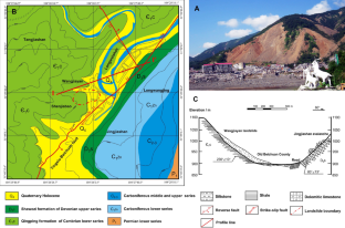 Seismic effect of the Wangjiayan landslide based on microtremor measurements in Beichuan, Southwest China