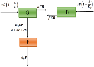 Modeling the Effect of Interference and Gestation Delay in an Interacting Good Biomass and Bird Population: An Application to Wetland Ecosystem