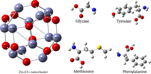 Computational insights on the adsorption of glycine, methionine, tyrosine and phenylalanine on the zinc oxide nanocluster Zn12O12