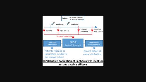 Response to COVID-19 vaccination in patients on cancer therapy: Analysis in a SARS-CoV-2-naïve population