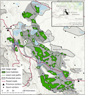 From isolation to integration: assessing habitat connectivity of the endangered saiga antelope in Mongolia