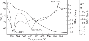 Composition and Properties of Coal from the Raichikhinskoe Brown Coal Deposit (Amur Oblast, Far East)