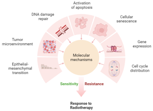 Molecular mechanisms of sensitivity and resistance to radiotherapy.