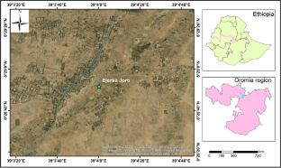 Tree growth and wheat productivity are affected by pollarding Faidherbia albida in semi-arid Ethiopia