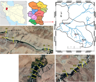 Similarity between soil seed bank and standing vegetation and their relationship with soil and topographical characteristics in a riparian zone