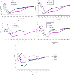 Design, biological characteristics, and antibacterial mechanism of high therapeutic index antimicrobial peptides with PRRP as central axis