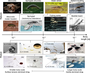 Small-scale robots inspired by aquatic interfacial biolocomotion