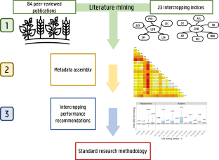 Intercropping indices evaluation on grain legume-small grain cereals mixture: a critical meta-analysis review