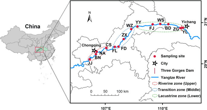 Biogeographic patterns of meio- and micro-eukaryotic communities in dam-induced river-reservoir systems.