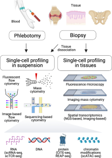 Understanding Spondyloarthritis Pathogenesis: The Promise of Single-Cell Profiling.