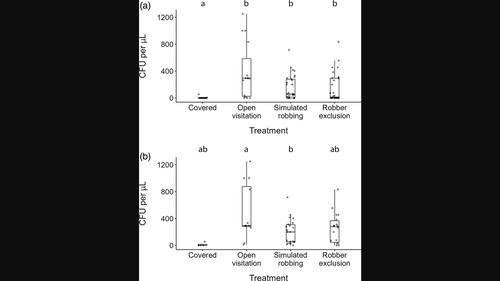 Nectar robbers and simulated robbing differ in their effects on nectar microbial communities