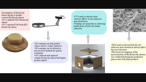 Evaluation of low sodium Kačkavalj cheese properties using 3D scanning, scanning electron microscopy and computer vision system