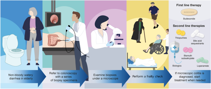 Diagnosis and Pharmacological Management of Microscopic Colitis in Geriatric Care.